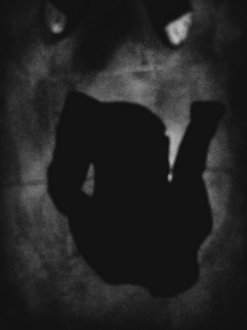 raisa mikhaylova . gerontophobia - fear of growing old.