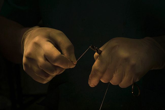 raisa mikhaylova . art of healing. Hands of a veterinarian. Doctor Mikhail Shelyakov at work.