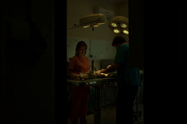 raisa mikhaylova . art of healing. Surgical sterilization is in progress.