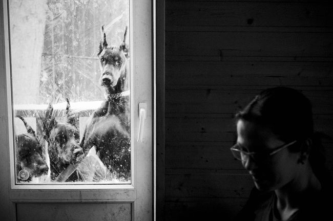 raisa mikhaylova . tanya and her kids. The room on the first floor of the Tanya’s house with a separate exit to a specially fenced area for walking. Dogs do not like to walk without Tanya