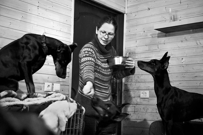 raisa mikhaylova . tanya and her kids. The dogs usually get some treats out of Tanya’s hands
