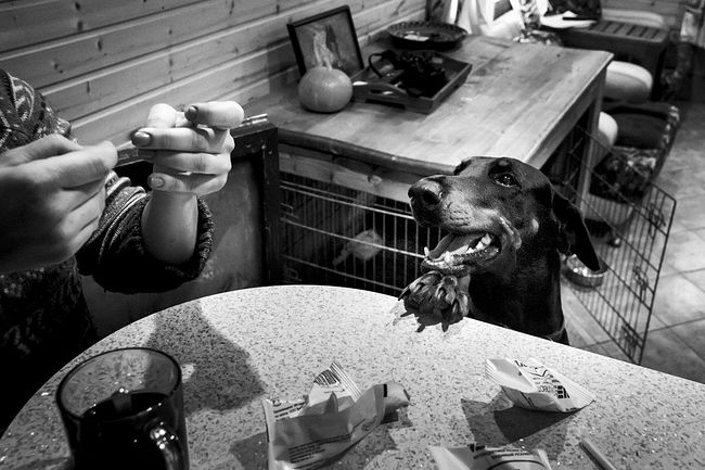 raisa mikhaylova . tanya and her kids. Tanya is reading a wish from a fortune cookie. Tretlahpay Casey hopes to get a treat