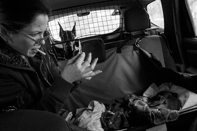 raisa mikhaylova . tanya and her kids. On the way to the clinic. Tanya is ready to inject Mickey, a puppy with a brain injury. In the background there is Caesar, he usually accompanies Tanya on her trips.
