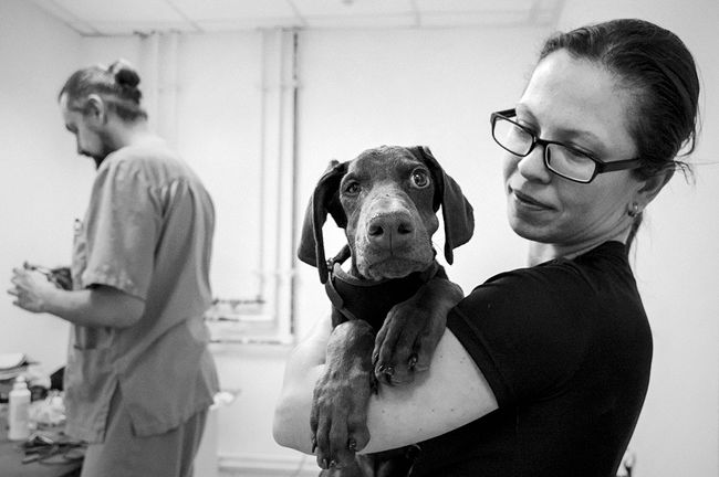 raisa mikhaylova . tanya and her kids. Tanya and Mickey at the animal hospital