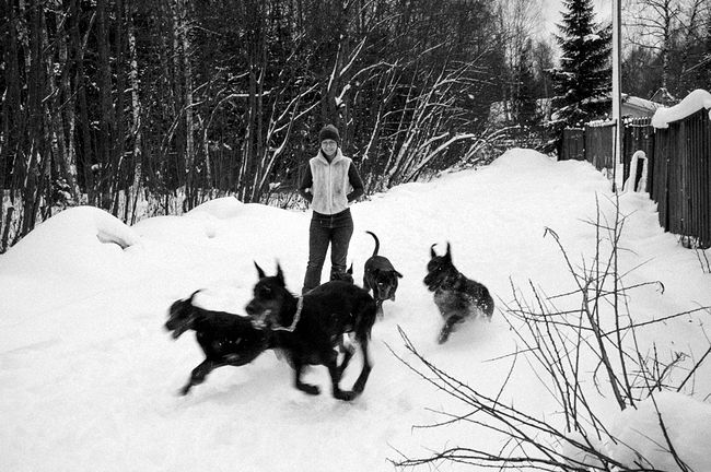 Tanya’s walking her dogs. Еven three-legged Casey does not feel uncomfortable